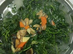 上汤辣椒叶-浪琴湾尾角仔海鲜坊