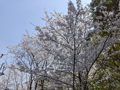 -黄兴公园