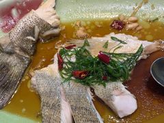 -海派美食·家宴海鲜青岛菜·石锅鲽鱼头(东方城店)