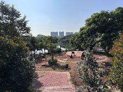 -大屏嶂森林公园