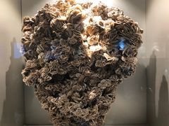 -甘肃地质博物馆