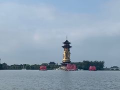 -溱湖国家湿地公园