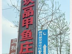 -高坎一品甲鱼庄(两河店)