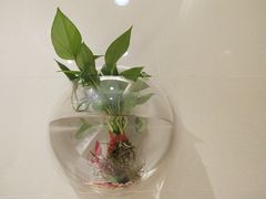 -圆融购物中心(南天成路店)