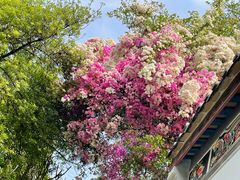 -深圳国际园林花卉博览园