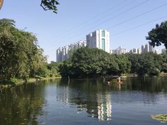 -晓港公园