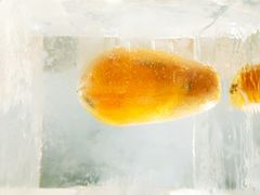-哈尔滨融创文旅城