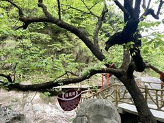 -洛阳白云山景区