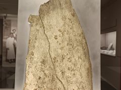 -北京大学赛克勒考古与艺术博物馆