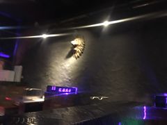 -狼遇见羊烧烤·现穿现烤(旧宫店)