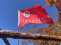 -天女山森林公园