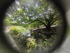 -晓港公园