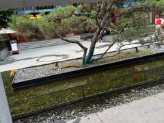 -庐灶江南·江南菜·四合院Bistro(东直门雍和宫·原华侨宾馆店)