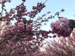 -苏州河梦清园环保主题公园