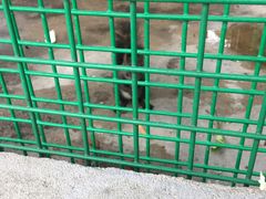 -同里湖度假村(二期店)