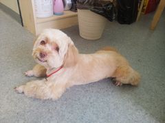 -爱诺耐芙动物医院(万博店)