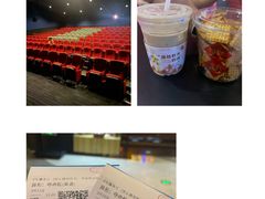 -万达影城(闵行颛桥万达广场杜比影院店)