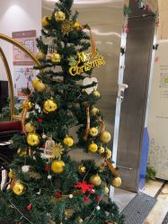 -安琪朵朵独栋花园月子中心