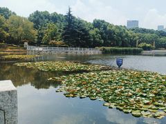 -后襄河公园