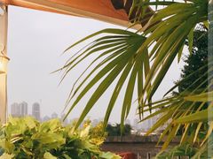 -李子坝梁山鸡(李子坝大鸡哥店)