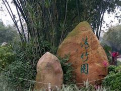 -晓港公园