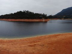 -广州市流溪河国家森林公园