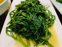 -楊公子民间菜
