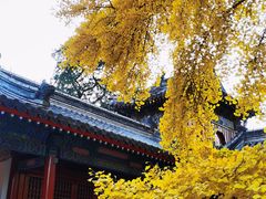 -承恩寺