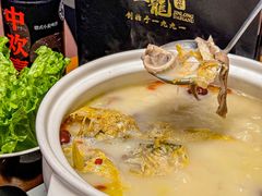 -金龙·打边炉(南京西路店)