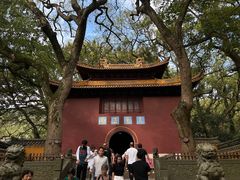 -普陀山风景名胜区-法雨禅寺
