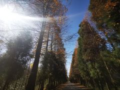 -山王坪喀斯特国家生态公园