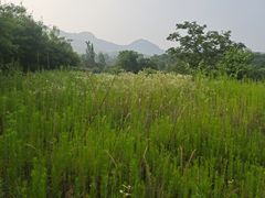 -黄巢水库