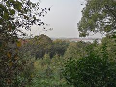 -上海佘山国家森林公园西佘山园