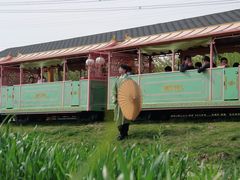-长田漾湿地公园