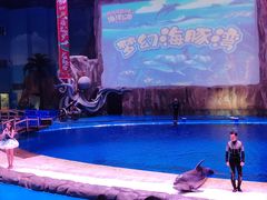 -华夏文旅海洋公园