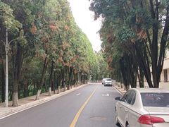 -西南林业大学(白龙校区)
