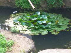 android_upload_pic-旺山景区