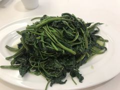 清炒红薯尖-文杏酒楼(一品天下店)