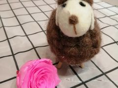 -Summer House夏莫手工坊团建活动(世博源店)