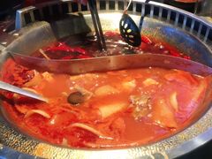 -辣伍鲜毛肚老火锅(元一店)