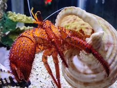 -太平洋海底世界