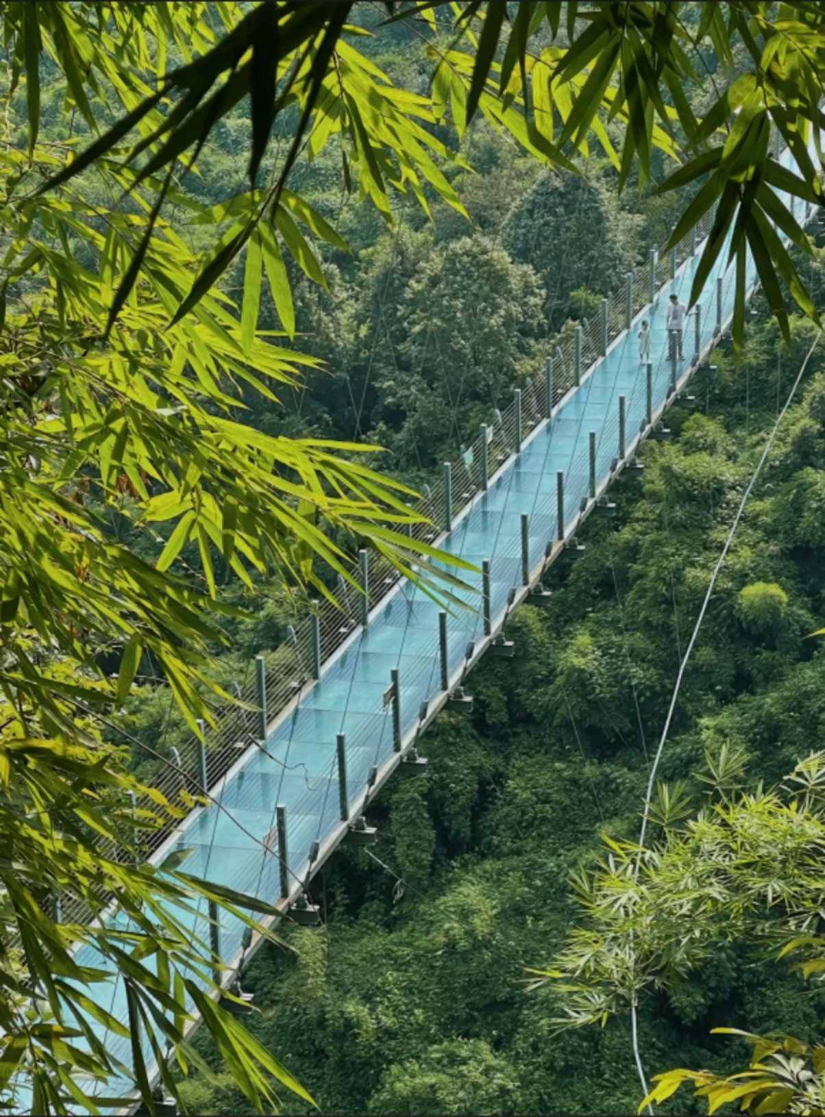 莒南玻璃桥风景区图片