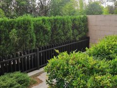 -上海崇明金茂凯悦酒店