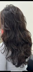 点击看大图 -HaLo hair studio