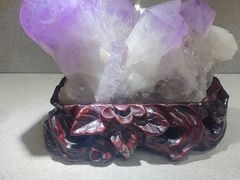 -陕西自然博物馆