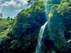 -龙苍沟森林公园