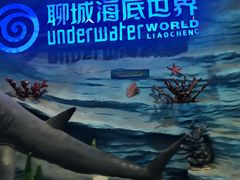-聊城海底世界