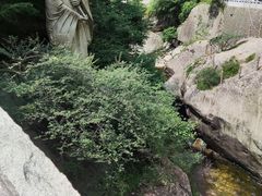 -陕西省红河谷森林公园