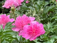 -长春公园(普阳街道)