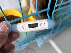 -嘉馨宠物医院·CT影像转诊·心脏科·犬猫全科诊疗中心(下沙大学城院区)